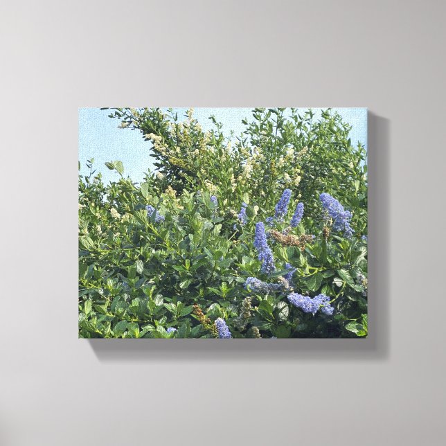 A Blooming California: Blue blommars Canvastryck (Framsida)