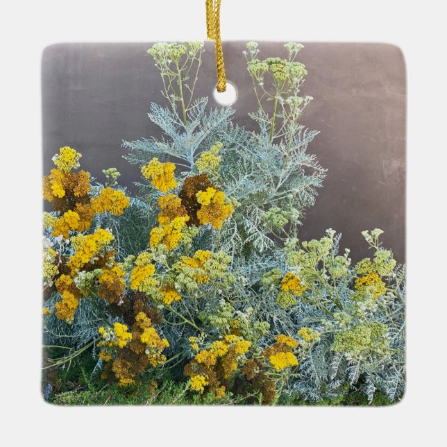 A Blooming California: Catalina Silverlace Julgransprydnad Keramik (Framsida)