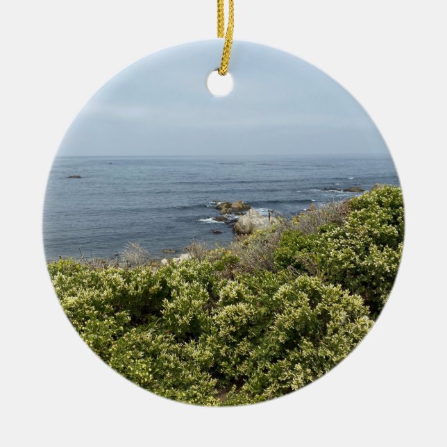 A Blooming California: Coyote Bush Julgransprydnad Keramik (Framsidan)