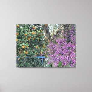 A Blooming California: Davis Guld & Western Redbud Canvastryck