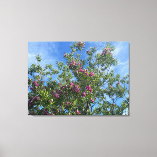 A Blooming California:Desert Willow Canvastryck