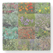 A Blooming California: Dubbla Rainbow 2020