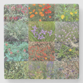 A Blooming California: Dubbla Rainbow 2020 Stenunderlägg