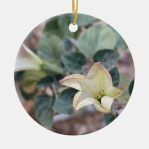 A Blooming California: Helig Datura Ceramic Ornam Julgransprydnad Keramik
