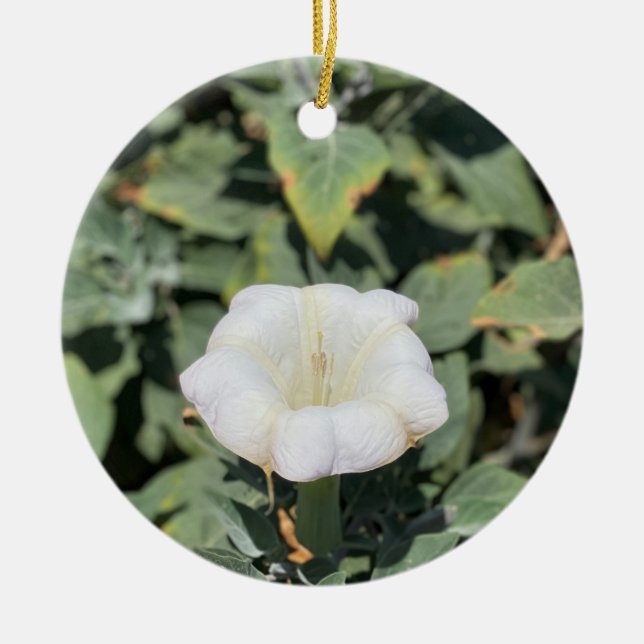 A Blooming California: Helig Datura Julgransprydnad Keramik (Framsidan)