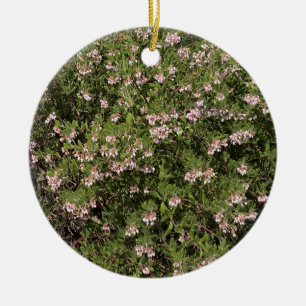 A Blooming California: Manzanita Julgransprydnad Keramik