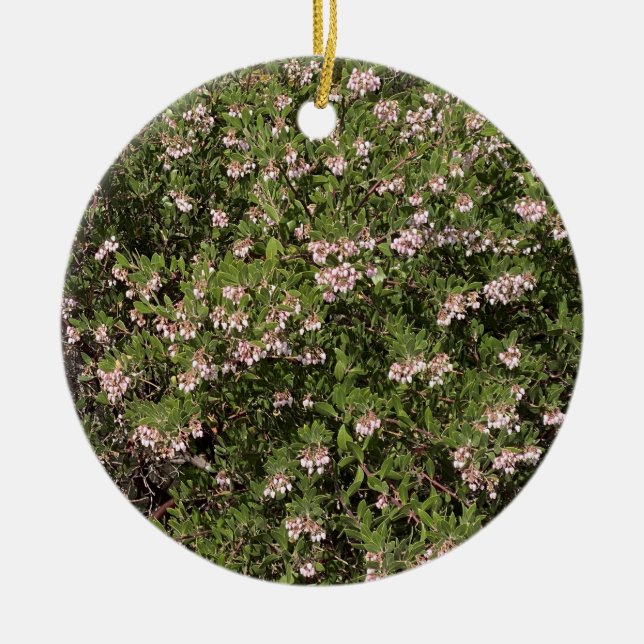 A Blooming California: Manzanita Julgransprydnad Keramik (Framsidan)