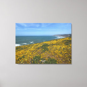 A Blooming California: Mori Point Canvastryck