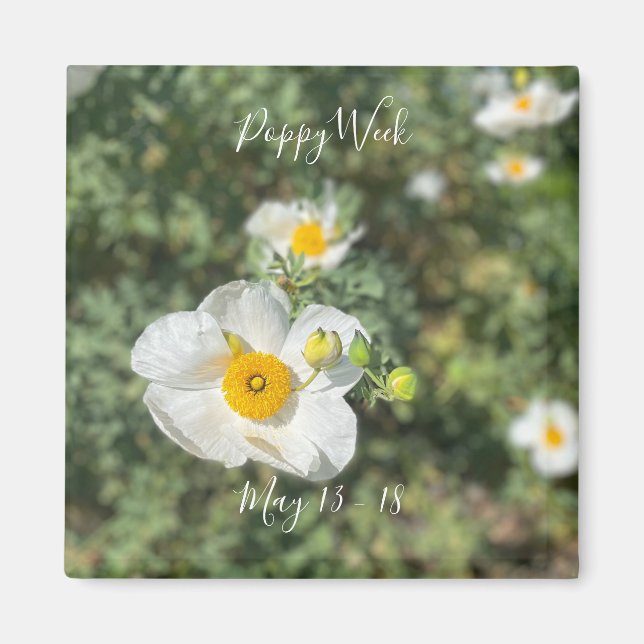 A Blooming California: Poppy Week Magnet (Framsidan)