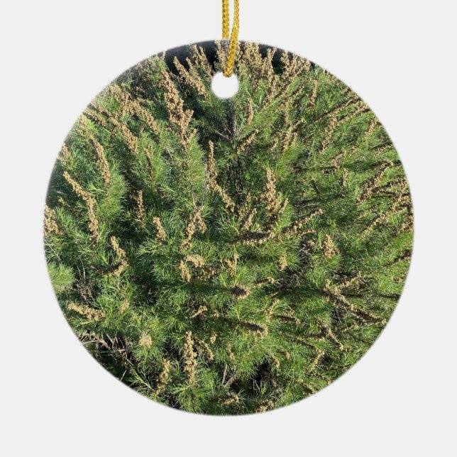 A Blooming California: Sagebrush Ceramic Ornament (Framsidan)