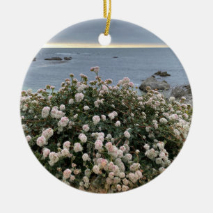 A Blooming California: Sea Cliff Buckvete Julgransprydnad Keramik