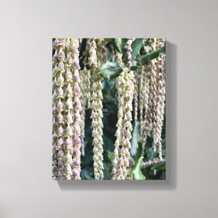 A Blooming California: Silke Tassels Canvastryck