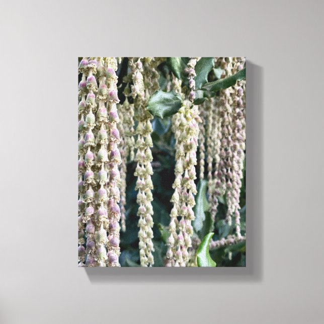 A Blooming California: Silke Tassels Canvastryck (Framsida)