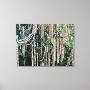 A Blooming California: Silke Tassels Canvastryck