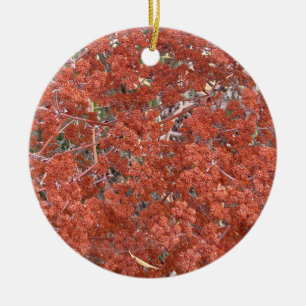 A Blooming California: St. Catherine's Snöre Julgransprydnad Keramik