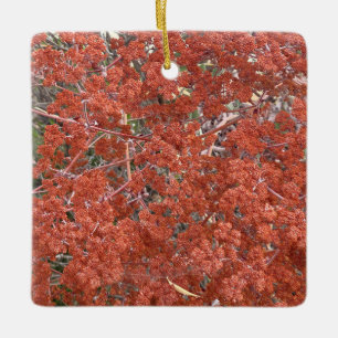 A Blooming California: St. Catherine's Snöre Julgransprydnad Keramik