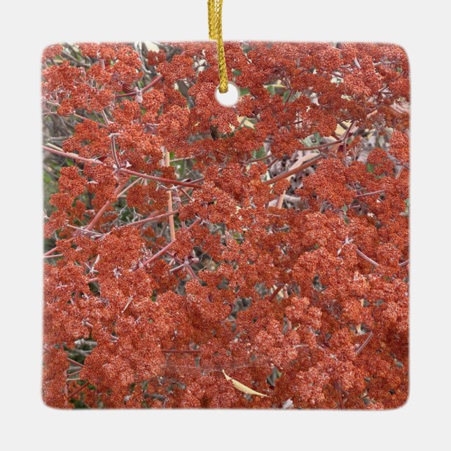 A Blooming California: St. Catherine's Snöre Julgransprydnad Keramik (Framsida)