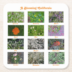 A Blooming California Underlägg Papper Kvadrat
