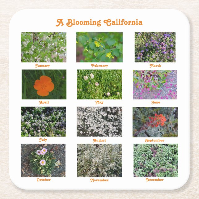 A Blooming California Underlägg Papper Kvadrat (Framsidan)