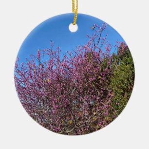 A Blooming California: Western Redbud Julgransprydnad Keramik