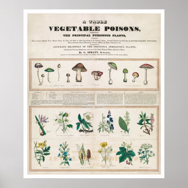 A Bord i Vintagen Vegetabiliska Poisons Poster (Framsidan)