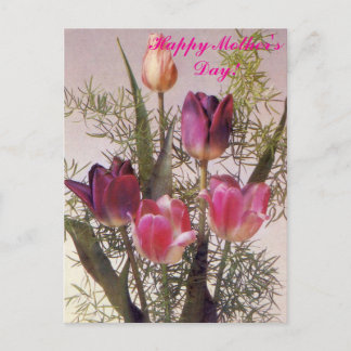 A bouquet of pink tulips in various shades,Happy M Vykort