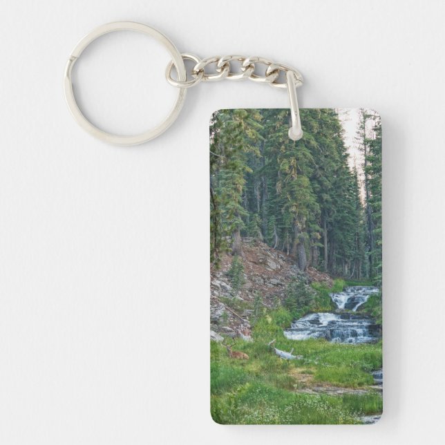 A Buck Rests vid Cascading River (Framsidan)