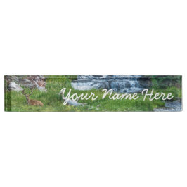 A Buck Rests vid Cascading River