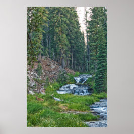 A Buck Rests vid Cascading River Poster