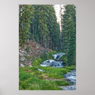 A Buck Rests vid Cascading River Poster