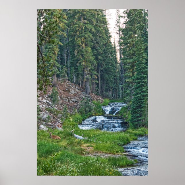 A Buck Rests vid Cascading River Poster (Framsidan)