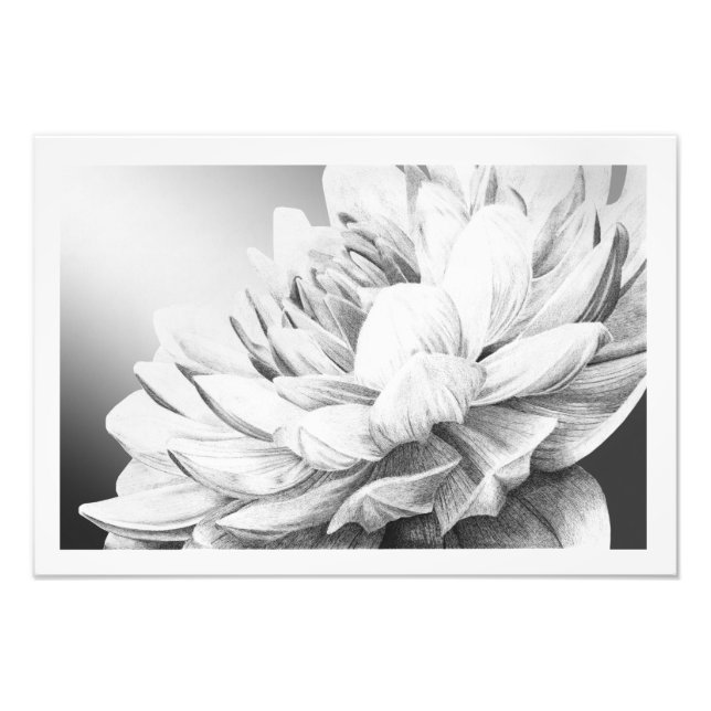 A Burst of Vår (med gräns) Fototryck (Framsidan)