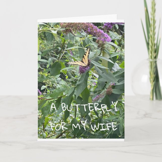 A **BUTTERFLY** FÖR MIN **WIFE** BIRTHDAG KORT (Framsida)