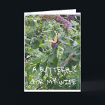 A **BUTTERFLY** FÖR MIN **WIFE** BIRTHDAG KORT<br><div class="desc">TACK FÖR ATT VI STOPPADE MED 1 AV MINA ÅTTA LAGER</div>