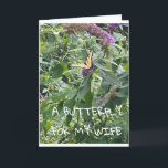 A **BUTTERFLY** FÖR MIN **WIFE** BIRTHDAG KORT<br><div class="desc">TACK FÖR ATT VI STOPPADE MED 1 AV MINA ÅTTA LAGER</div>