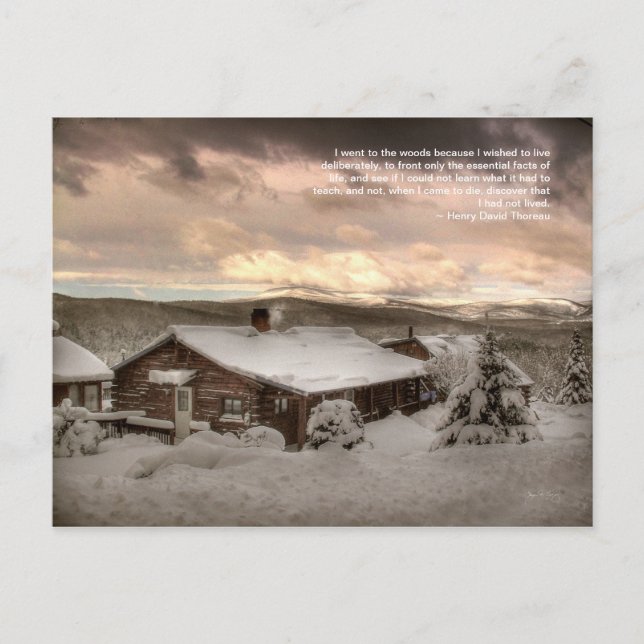 A Cabin Snug i bergen: Thoreau Postcard Vykort (Framsida)