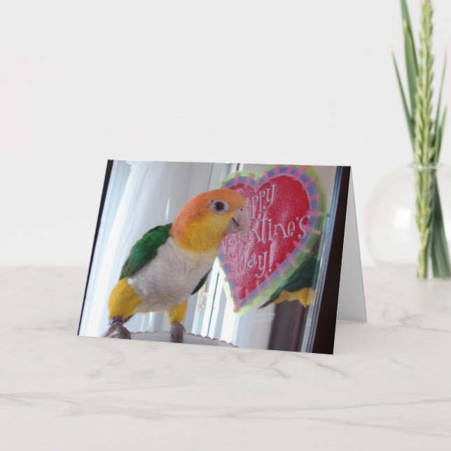 A Caique Valentine Helgkort (Framsida)