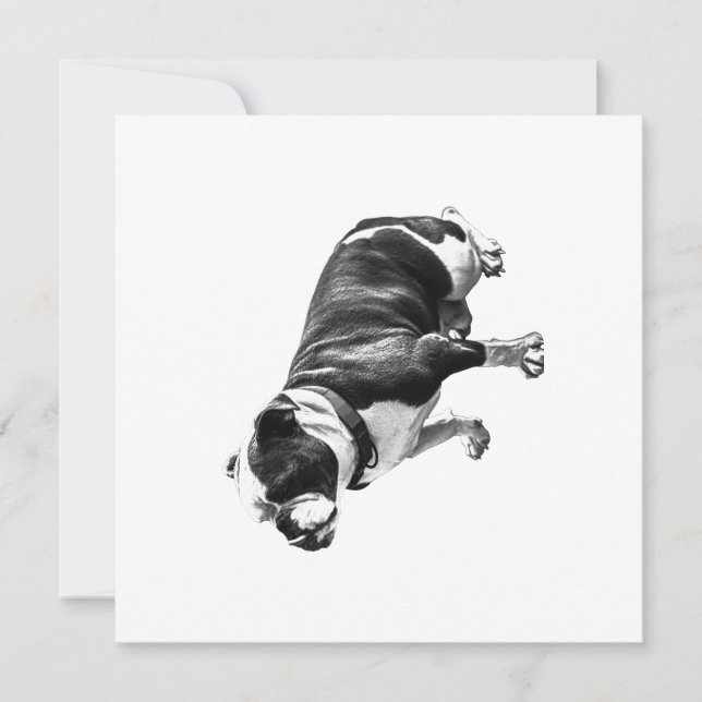 A Calm Place to Sit Inbjudningar (Framsida)