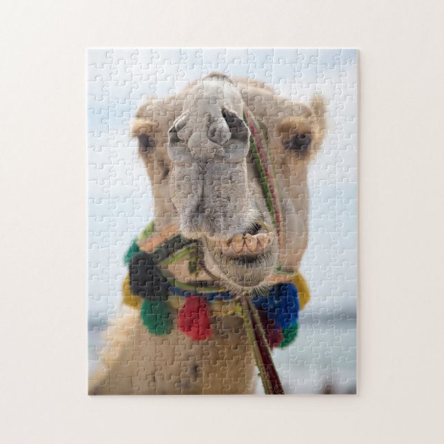 A Camel Smile Pussel (Vertikal)