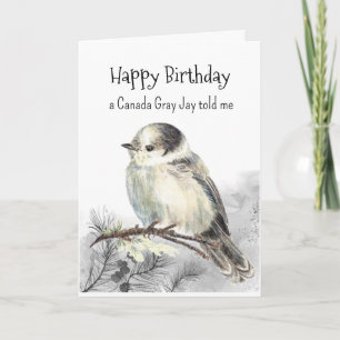 A Canada Grått Jay Personality Birthday Roligt Bir Kort
