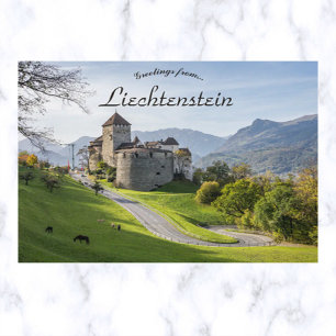 A Castle in Vaduz Liechtenstein Postcard Vykort