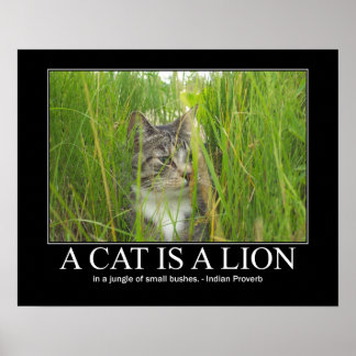 A Cat är ett Lejont indiskt ordspråk Poster