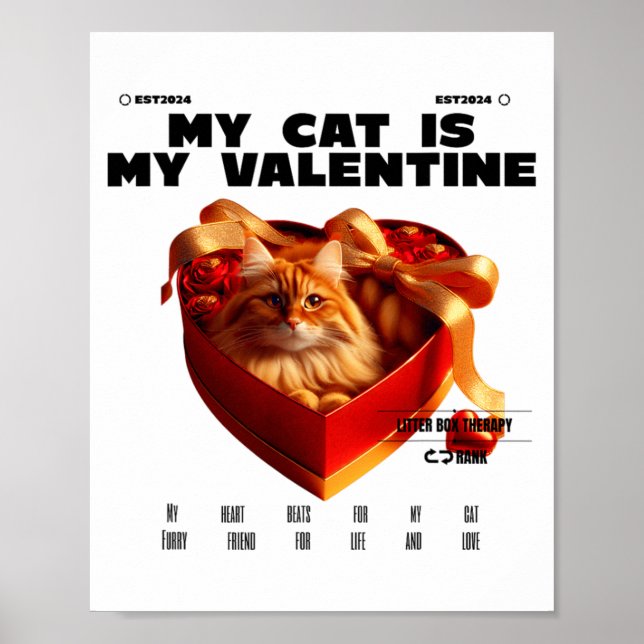 A Cat In The Box Therapy Happy Valentine Day Funny Poster (Framsidan)