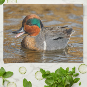 A Chatty Grönt-Winged Teal Anka vid dammen Kökshandduk