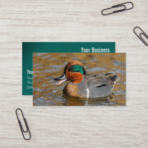 A Chatty Grönt-Winged Teal Anka vid dammen Visitkort
