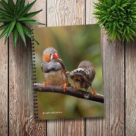 A Cheeky Pair of Zebra Finches Anteckningsbok Med Spiral