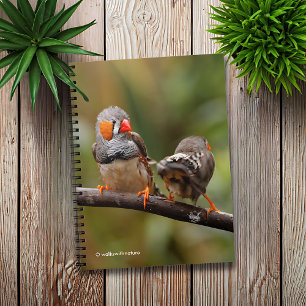A Cheeky Pair of Zebra Finches Anteckningsbok Med Spiral