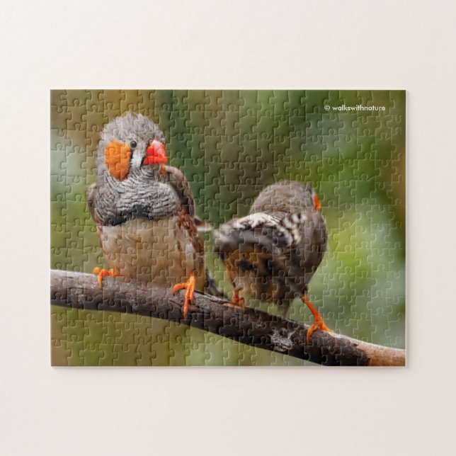 A Cheeky Pair of Zebra Finches Pussel (Horisontell)