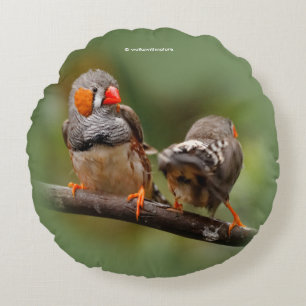 A Cheeky Pair of Zebra Finches Rund Kudde