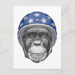 A Chimpanzee Motorcycle Rider Vykort